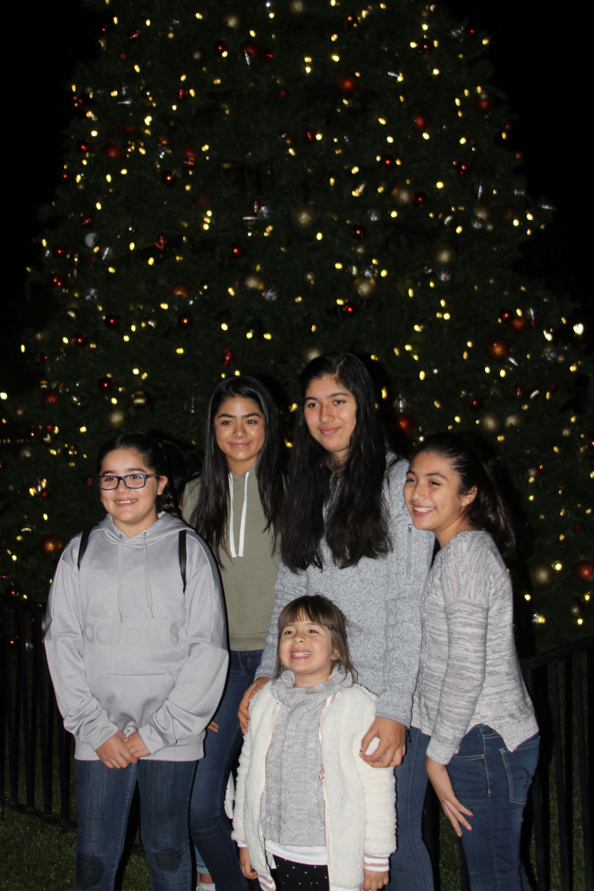 Christmas tree lighting